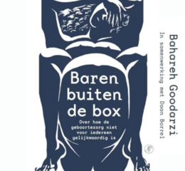 Thumbnail Baren Buiten De Box